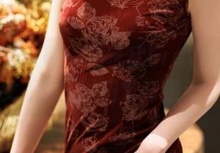 Xiuren秀人网 – 林子欣Freya全集：为女王打工的日常奇遇记！