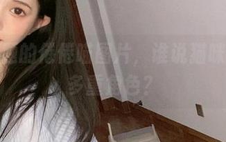 圣诞主题的倦倦喵图片，谁说猫咪不能有多重角色？