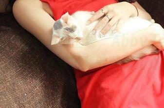 推女神 – 校园图包上线，Abby王乔恩的背影瞬间变成了我的梦游路线？