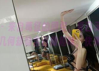 微密圈 – 来自葛征的图包，夏日无圣光，简单的几何却隐含百般趣味，快来围观吧